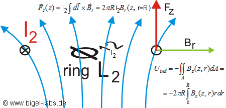 Lorentz Force at the Thomson Ring Experiment